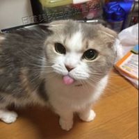 kxya