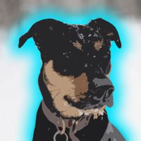 MrTobyRed