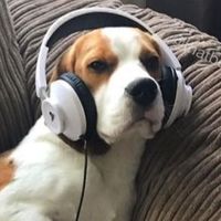 oneminutxold